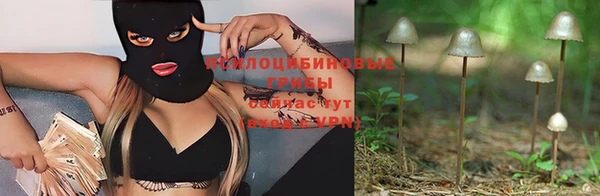 таблы Аркадак