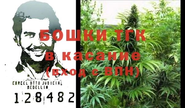 прущая мука Арсеньев