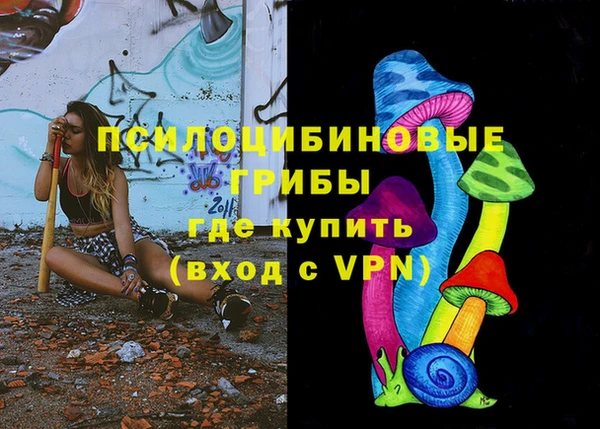 прущая мука Арсеньев